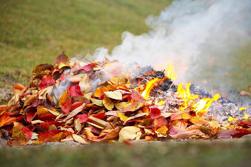 Früher war es vielerorts üblich, Laub und andere Gartenabfälle einfach zu verbrennen - doch seit 2015 ist das streng verboten. Der Rauch enthält Feinstaub und Schadstoffe, die Umwelt und Gesundheit belasten. Zudem besteht die Gefahr, dass Feuer sich unkontrolliert ausbreiten. Wer sich nicht an das Verbot hält, riskiert ein Bußgeld. Je nach Bundesland können diese unterschiedlich hoch ausfallen. Früher war es vielerorts üblich, Laub und andere Gartenabfälle einfach zu verbrennen - doch seit 2015 ist das streng verboten. Der Rauch enthält Feinstaub und Schadstoffe, die Umwelt und Gesundheit belasten. Zudem besteht die Gefahr, dass Feuer sich unkontrolliert ausbreiten. Wer sich nicht an das Verbot hält, riskiert ein Bußgeld. Je nach Bundesland können diese unterschiedlich hoch ausfallen.
