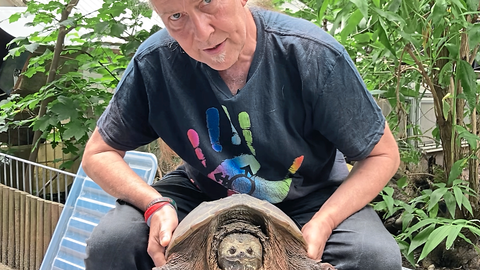 Markus Baur, Leiter der Reptilienauffangstation, mit der 10,07 Kilogramm schweren Schnappschildkröte.