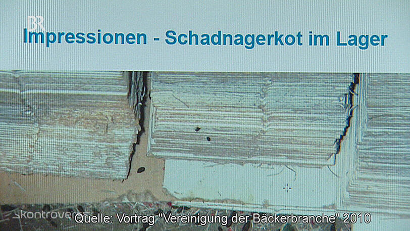 Die Bilder zeigen die ekligsten bayerischen Bäckereien. Wohl aber nicht den Großbetrieb, der in Alzenau geschlossen wurde.