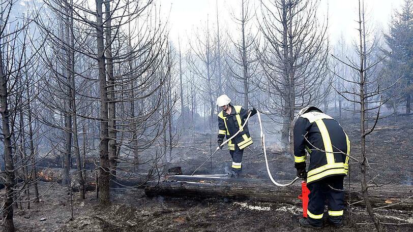 "Bei der Trockenheit reicht schon ein Zündholz", betonte ein Polizeisprecher.