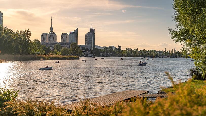 Als stehendes Gewässer ist die Alte Donau besonders anfällig. Als stehendes Gewässer ist die Alte Donau besonders anfällig.