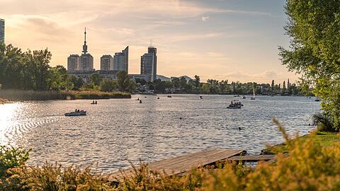 Als stehendes Gew&auml;sser ist die Alte Donau besonders anf&auml;llig.