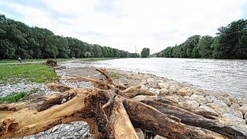 Die Isar bei Hochwasser