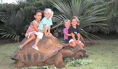 Kinder reiten auf Schildkröten