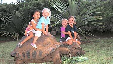 Kinder reiten auf Schildkröten Kinder reiten auf Schildkröten
