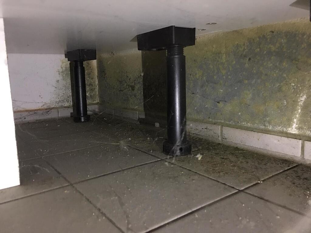 munchner familie lebt in schimmelwohnung wir werden im stich gelassen abendzeitung munchen