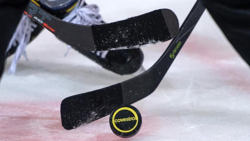 Aus der DEL sind neben München und den Straubing Tigers auch die Eisbären Berlin und Adler Mannheim für die CHL qualifiziert. (Symbolbild)