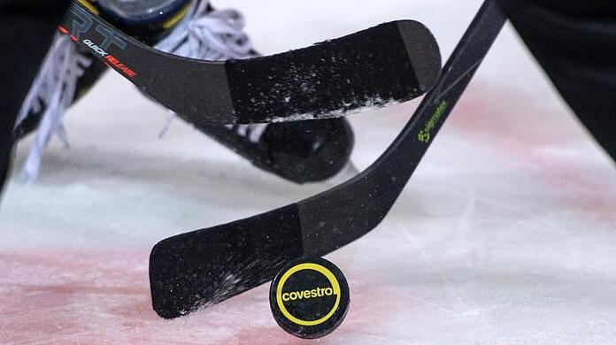 Aus der DEL sind neben München und den Straubing Tigers auch die Eisbären Berlin und Adler Mannheim für die CHL qualifiziert. (Symbolbild)