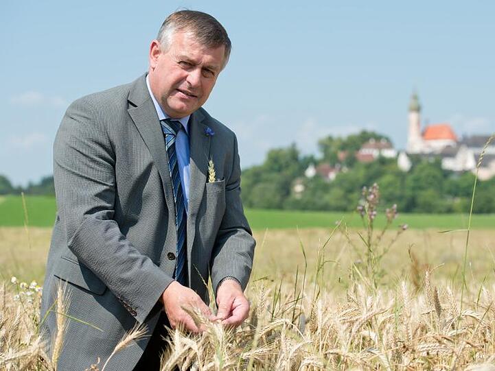 Walter Heidl, Präsident des bayerischen Bauernverbandes, warnt vor den Folgen bei einem ungeregelten Brexit. Foto: Sven Hoppe/Archiv