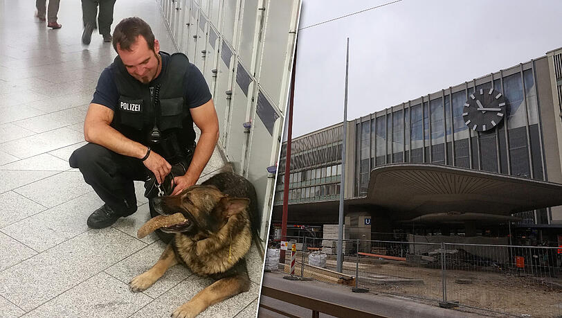 Weil einige betrunkene Personen nicht dem Platzverweis der Polizei nachkamen, kam Polizeihund "Herkules" (l.) zum Einsatz. Weil einige betrunkene Personen nicht dem Platzverweis der Polizei nachkamen, kam Polizeihund "Herkules" (l.) zum Einsatz.