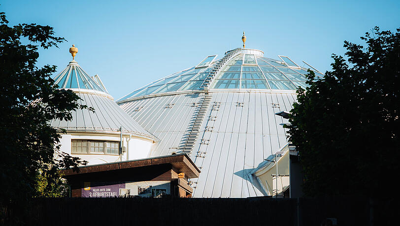 Architektonisches Schmuckstück in der Morgensonne: das Elefantenhaus von Emanuel von Seidel (gebaut 1914, saniert 2014-16). Architektonisches Schmuckstück in der Morgensonne: das Elefantenhaus von Emanuel von Seidel (gebaut 1914, saniert 2014-16).