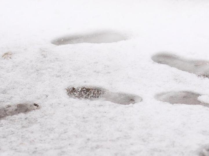 Spuren im Schnee sind zu sehen. Foto: Matthias Bein/Archiv