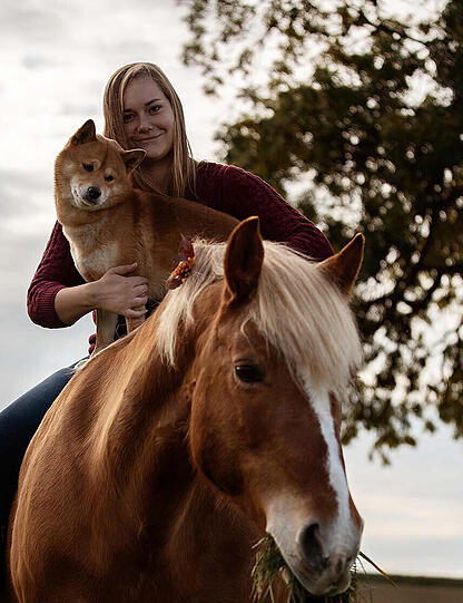 Hund Akito (Shiba Inu) und Haflinger Irmi
