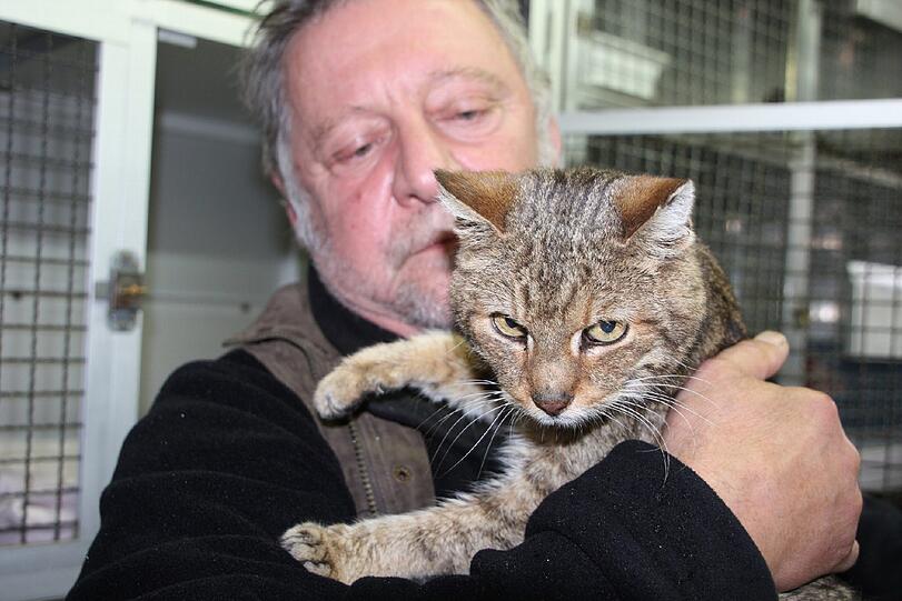 "Vielleicht denkt er sich ja: Wo warst du?" Kurt R. hat seinen Kater Felix endlich wieder.