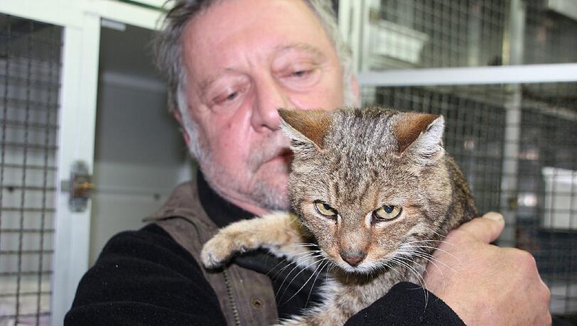 "Vielleicht denkt er sich ja: Wo warst du?" Kurt R. hat seinen Kater Felix endlich wieder. "Vielleicht denkt er sich ja: Wo warst du?" Kurt R. hat seinen Kater Felix endlich wieder.