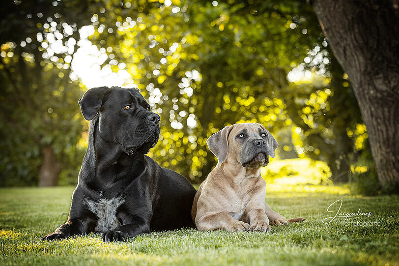 Olivia und Ziva