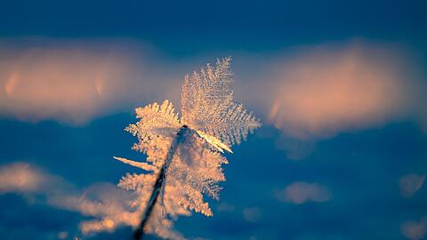 Eisige Temperaturen k&ouml;nnen f&uuml;r Menschen ohne Wohnung lebensgef&auml;hrlich sein.