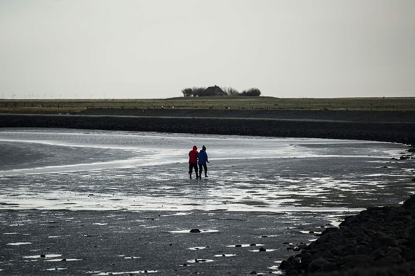 Die nordfriesische Hallig Langeneß