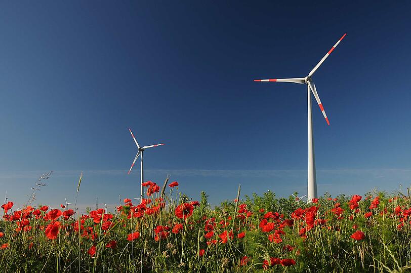 Die Stadtwerke München sind in Europa an vielen Windparks beteiligt. Allein in Deutschland gehören den SWM über 100 Windräder.