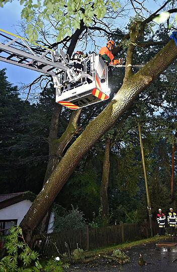 Ast für Ast schneidet die Feuerwehr den Baum klein.