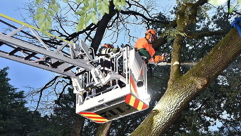 Ast für Ast schneidet die Feuerwehr den Baum klein. Ast für Ast schneidet die Feuerwehr den Baum klein.
