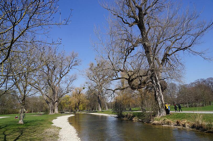 Stille im Englischen Garten.
