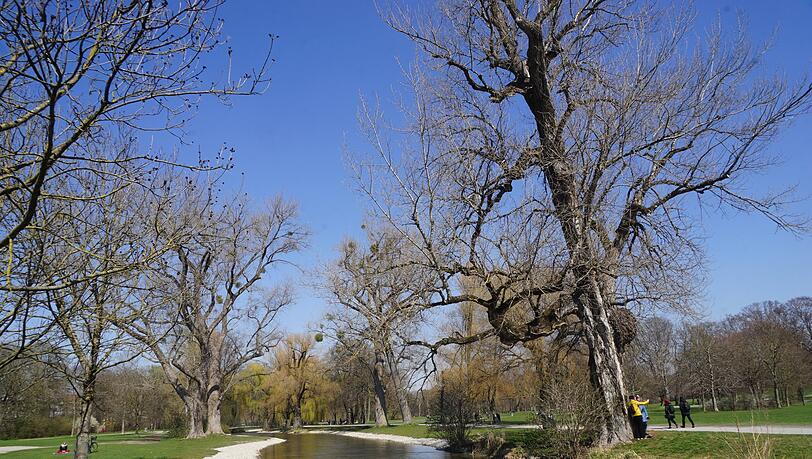 Stille im Englischen Garten.