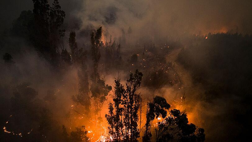 Tote, Vermisste und zahlreiche Verletzte - die Flammen im Süden Chiles sind nicht zu bändigen.