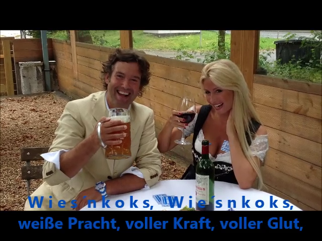 Bilder aus dem Wiesnkoks-Video