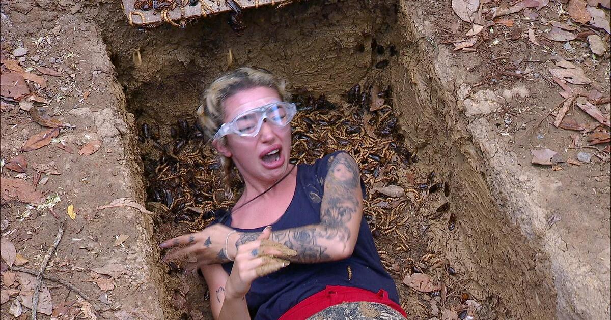 Kreisch-Alarm-und-Abbruch-Zuschauer-bestrafen-gleich-drei-Promis