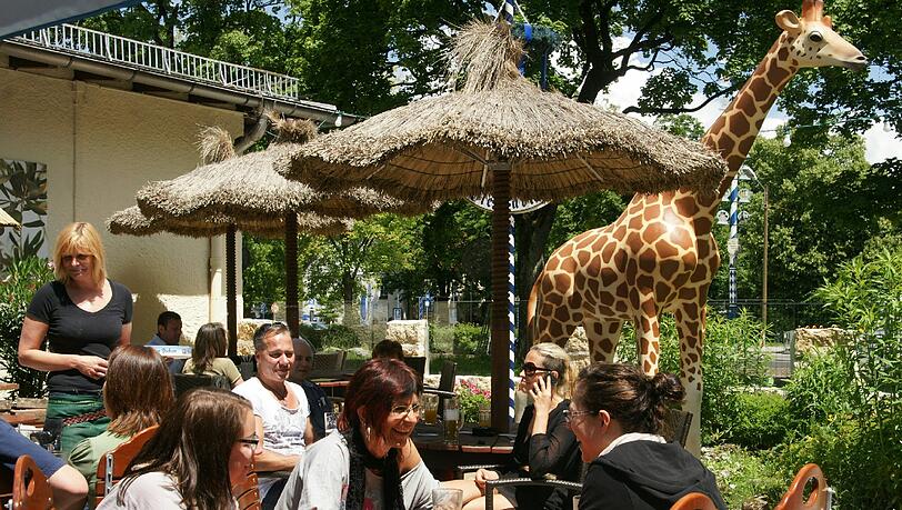 Ein echter Großstadtdschungel mitten in Ramersdorf: Das auffällig dekorierte Zar in der Rosenheimer Straße. Ein echter Großstadtdschungel mitten in Ramersdorf: Das auffällig dekorierte Zar in der Rosenheimer Straße.