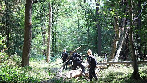 Die Polizei sucht mitten im Wald nach dem Verd&auml;chtigen.