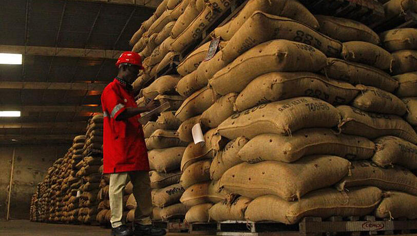 Ein Arbeiter kontrolliert in Abidjan, Elfenbeinküste, Säcke mit Kakaobohnen. Ein Arbeiter kontrolliert in Abidjan, Elfenbeinküste, Säcke mit Kakaobohnen.
