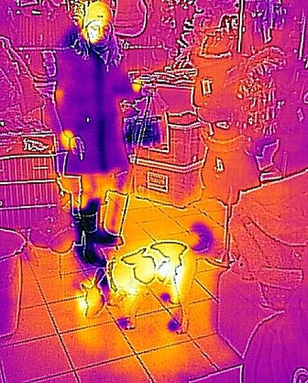 Dieser Hund trägt zwar ein Mäntelchen &ndash; doch offenbar ist es nicht dick genug, um die Abgabe der Körperwärme zu verhindern.