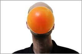 The Bubble: Ein Experiment im Weltsalon.