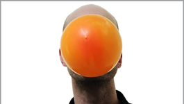 The Bubble: Ein Experiment im Weltsalon. The Bubble: Ein Experiment im Weltsalon.