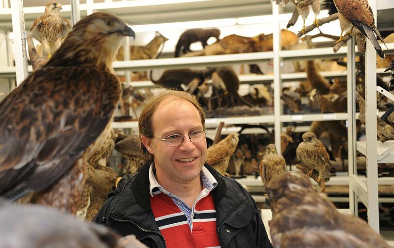 Greifvögel. Über 25.000 Exponate präsentierte die Zoologische Staatssammlung am Samstag bei ihrem Tag der Offenen Tür. Die Bilder.