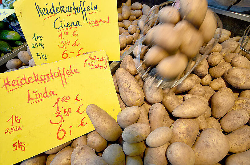 Der Anteil so genannter resistenter Stärke ist in festkochenden Kartoffeln höher als in mehligkochenden Sorten.