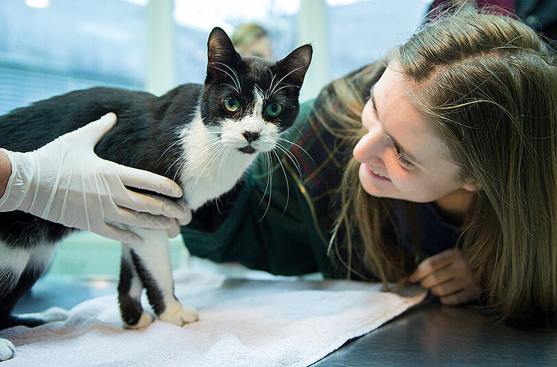 Elena Hanke mit ihrem Rückkehrer: Kater Miko.