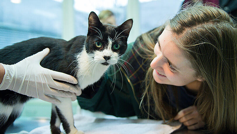 Elena Hanke mit ihrem Rückkehrer: Kater Miko. Elena Hanke mit ihrem Rückkehrer: Kater Miko.