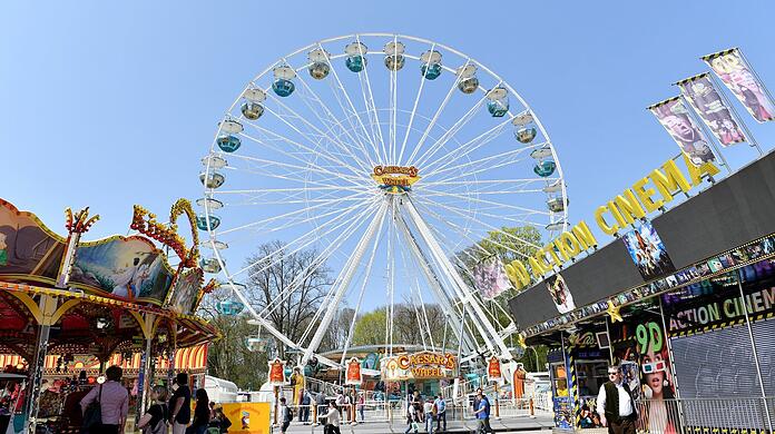 Dieses Bild wird es heuer erneut nicht auf der Grieserwiese geben: Die Frühjahrsdult fällt aus.