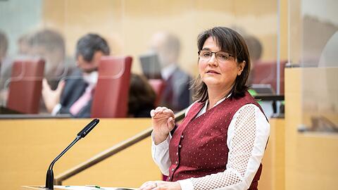 Claudia K&ouml;hler (Gr&uuml;ne) l&auml;dt Ruhrgebietsvertreter in den Landtag ein - um von St&auml;dten wie Gelsenkirchen oder Bottrop zu lernen. (Archivbild)