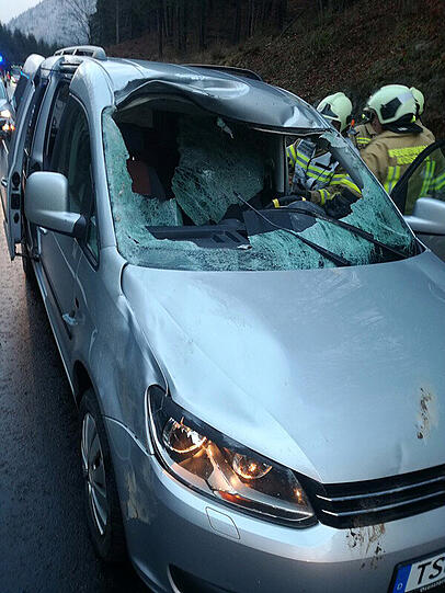 Wildunfall in Tirol: Hirsch springt in Auto von Vater & Sohn