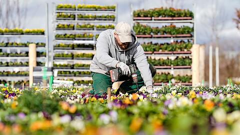 Letzte Vorbereitungen auf dem Gelände der Bundesgartenschau.