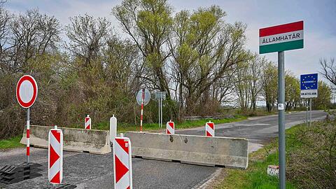 Der Ausbruch der Maul- und Klauenseuche in Ungarn und der Slowakei sorgt in Deutschland für Unsicherheit (Archivbild).