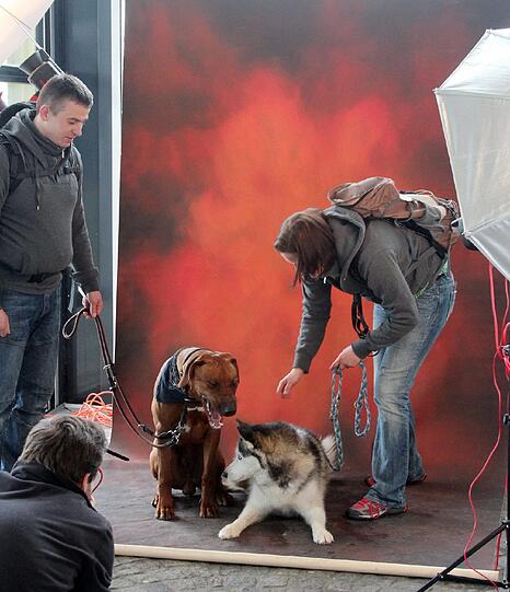 Bitte recht freundlich! Ein Fotostudio ist auch geboten.