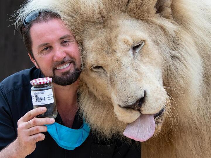 Martin Lacey, Löwen- und Tigerdompteur im Circus Krone, steht neben seinem Löwen King Tonga. Foto: Sven Hoppe/dpa/Archivbild