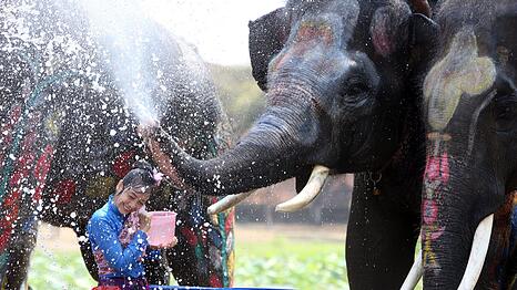 In der ehemaligen Hauptstadt Ayutthaya spritzen auch Elefanten munter mit.