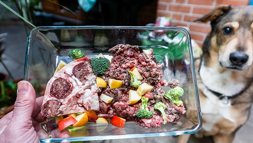 Futter nach der Barf-Methode besteht aus rohem Fleisch, Innereien, Knorpelfleisch, Knochen sowie Obst und Gemüse. Futter nach der Barf-Methode besteht aus rohem Fleisch, Innereien, Knorpelfleisch, Knochen sowie Obst und Gemüse.