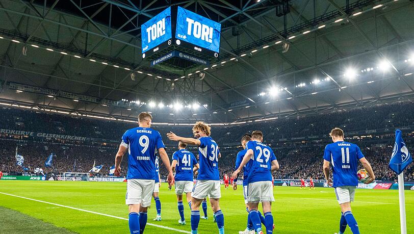 Nach langer Zeit konnte Schalke wieder über einen Sieg jubeln.